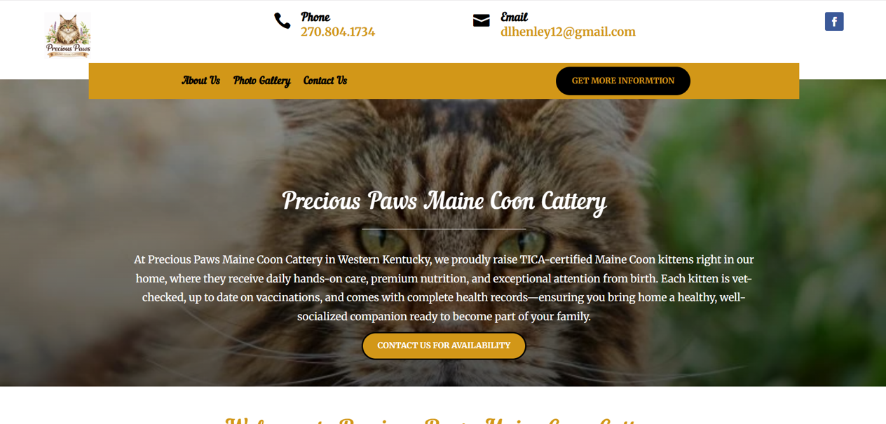 Website Design paducah
